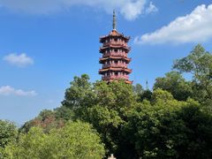 -大雁山风景区