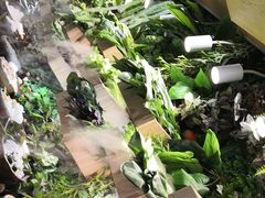 -一号桥自助火锅城(揽秀园西街店)