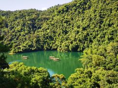 -鼎湖山风景区