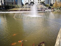 -梧桐人家中国太平国际健康颐养社区