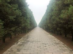 -秦始皇帝陵博物院-丽山园