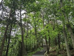 -冶父山国家森林公园