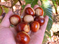 -中国广电东方有线(泉口路营业厅)