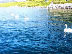 -赛里木湖风景名胜区