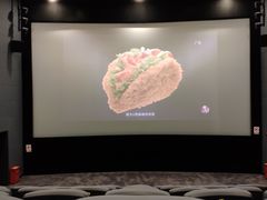 -SFC上影影城(港汇永华IMAX激光店)