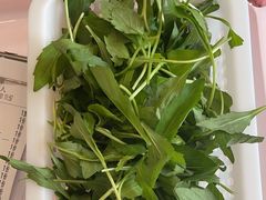 -正能量脆肉鲩火锅