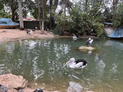 -费瑟代尔野生动物园