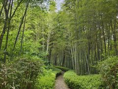 -天目湖山水园