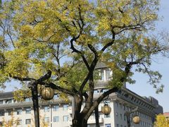 -西安城墙·碑林历史文化景区