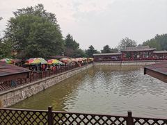 -尚庄度假村·庭台树下·户外烧烤·团建CS·轰趴营地(上庄水库店)