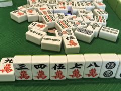 -洪湖家庭农场·团建·露营·会议