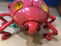 -上海昆虫博物馆