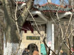 -老山国家森林公园