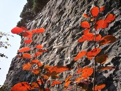 -北京上方山国家森林公园