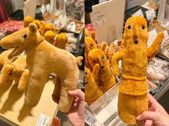 -东京国立博物馆