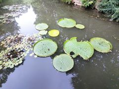 -上海滨江森林公园