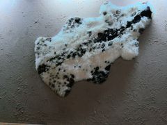 -柿子树炭烤羊腿(金台路店)