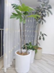 -HEYAN荷妍专业脱毛连锁机构