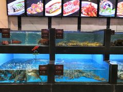 水产区-徐记海鲜(开福寺|伍家岭店)