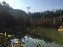 -广州市帽峰山景区