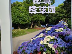 -上海鲜花港