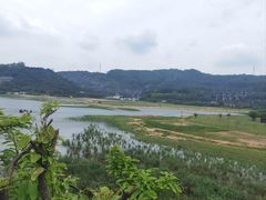 -东莞市大岭山森林公园