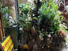 -多哥水傣味餐厅(司马巷店)