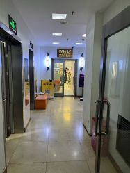 -镁连社·美联社