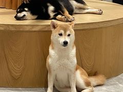 -鹤之乡·齐齐哈尔烤肉·非遗(秋涛路店)