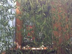 -功夫小龙虾·烧烤·江湖菜(金沙洲店)