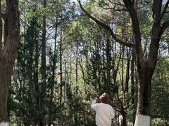 -桐乡植物园