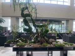 -天津海河悦榕庄·Lobby Lounge大堂吧