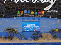 -泉城欧乐堡海洋极地世界