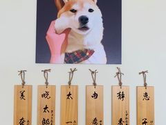 -柴犬小屋·柴餐厅·狗咖食堂(金鼎广场店)