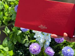 -爱马仕 HERMES(王府井步行街店)