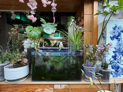-谷咖啡·鲜花绿植花园餐厅