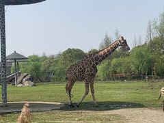 -宁波野生动物园