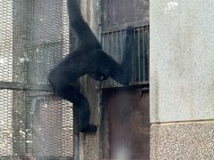 -昆明动物园