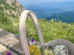 -白草畔自然风景区