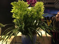 -北京植物园-展览温室