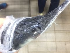 -盒马渔市餐厅