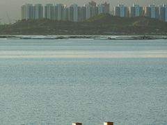 -深圳湾公园(南山区)