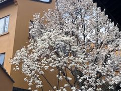 -龙华寺