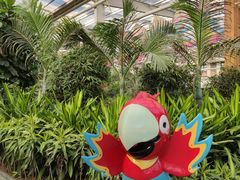 -南宫五洲植物乐园