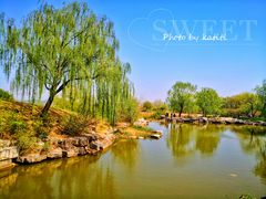 -北京西山国家森林公园