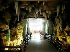 -御池园(顾村公园店)