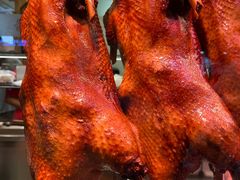 -日日香卤鹅饭店·澄海狮头鹅(澄海店)