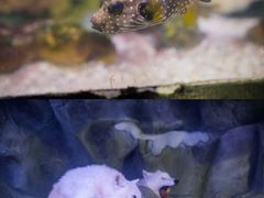 -正佳雨林生态植物园