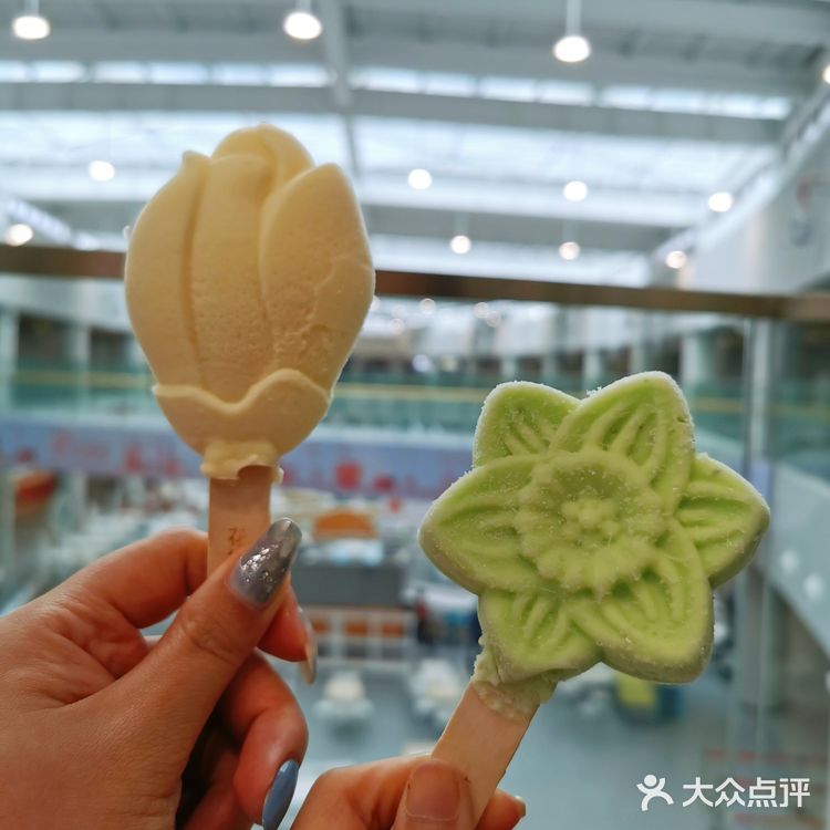 2021年第十届花博会在上海开幕啦❗❗