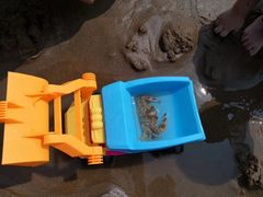 -嵊泗基湖沙滩